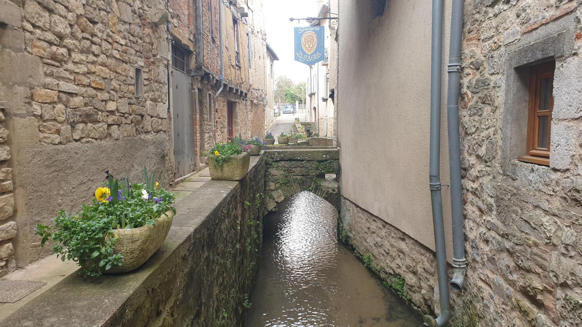 Seuls En Pleine Nature - Gite La Cote Blanche Puygaillard-de-Quercy 外观 照片