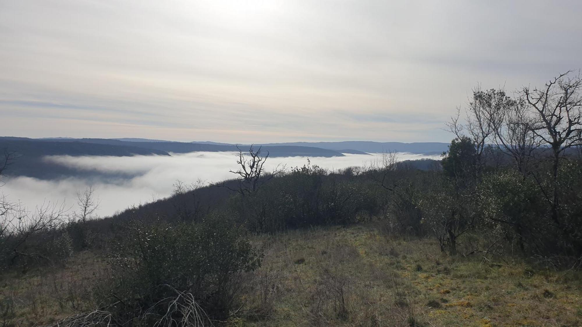 Seuls En Pleine Nature - Gite La Cote Blanche Puygaillard-de-Quercy 外观 照片