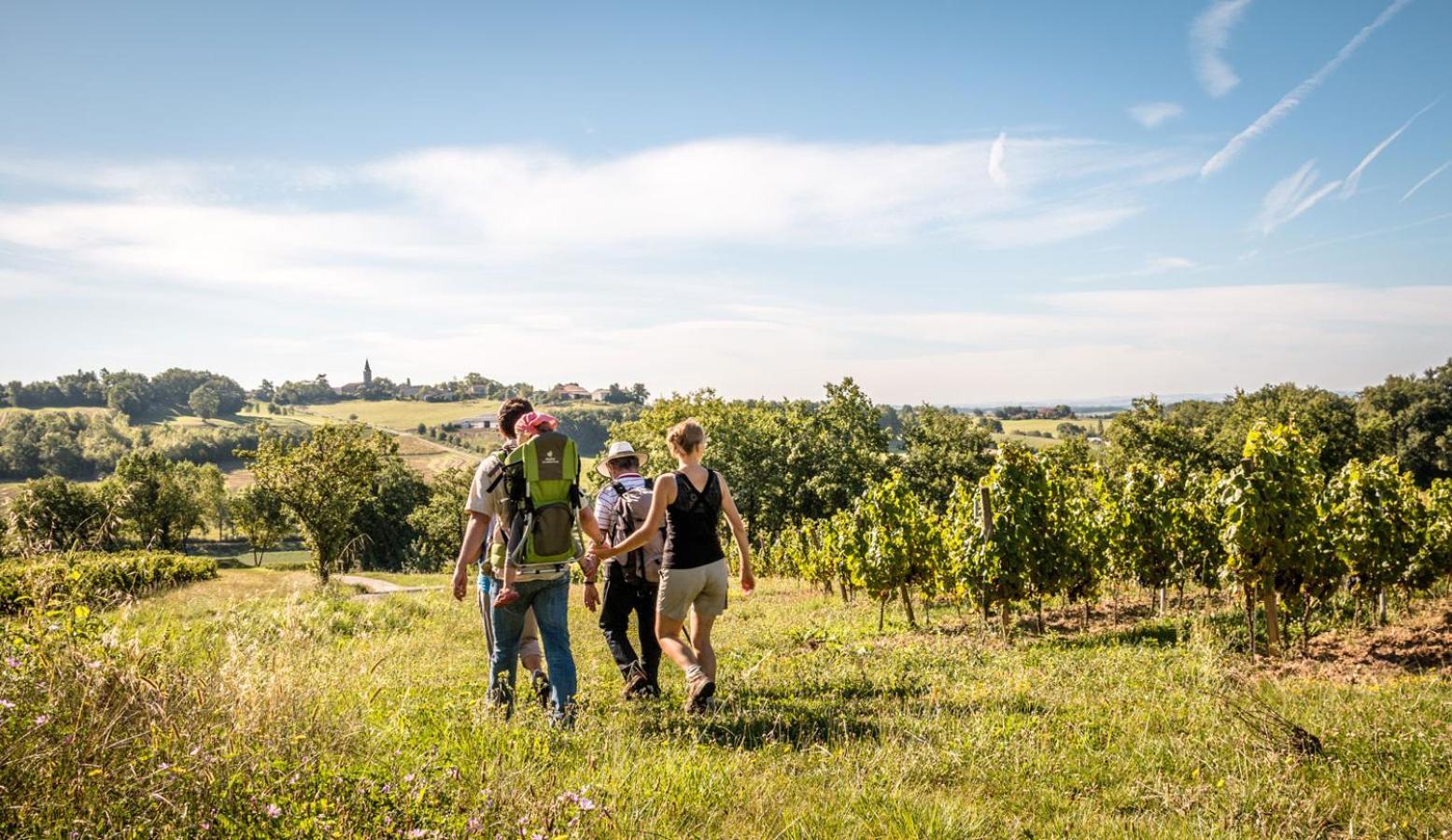 Seuls En Pleine Nature - Gite La Cote Blanche Puygaillard-de-Quercy 外观 照片