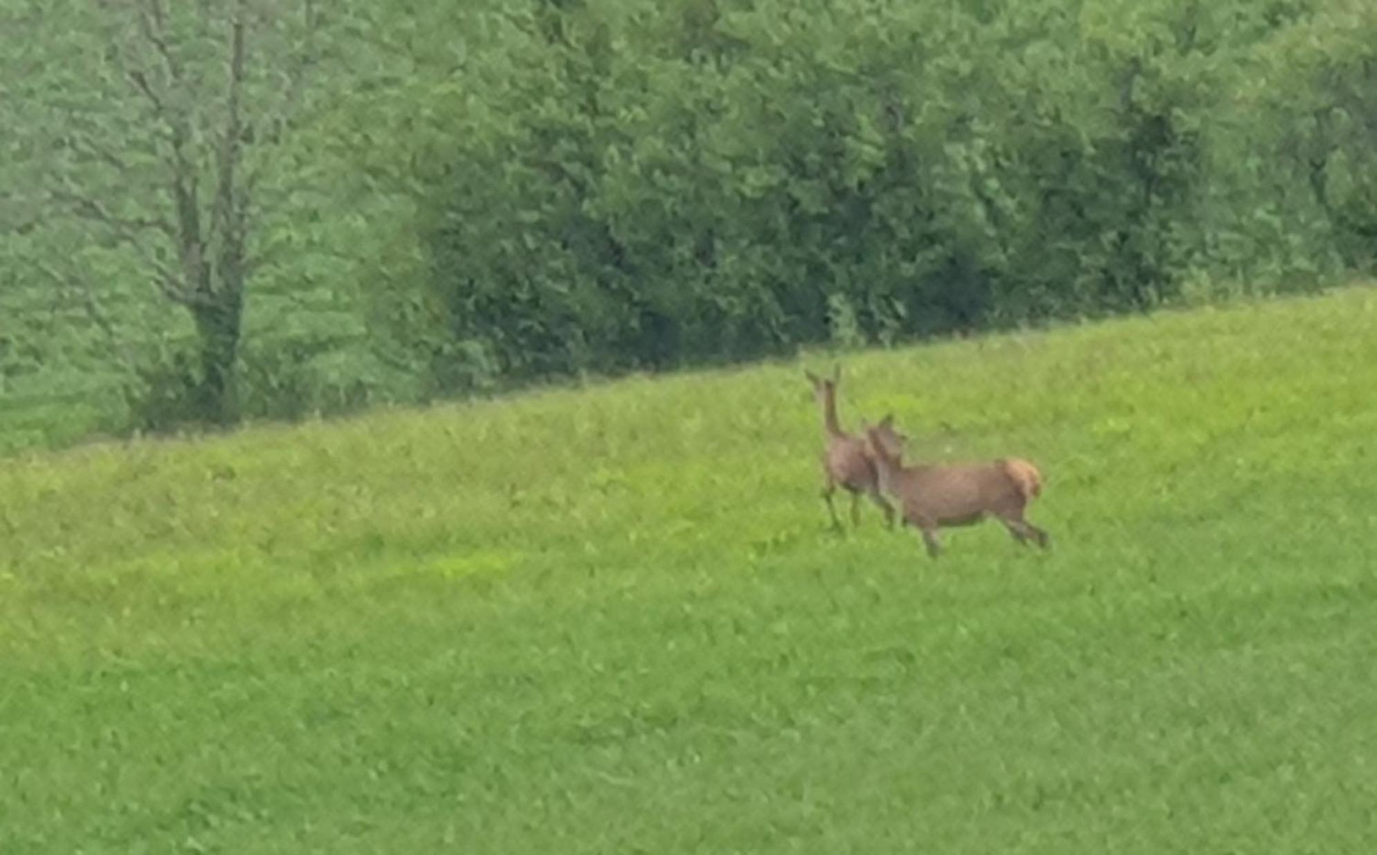 Seuls En Pleine Nature - Gite La Cote Blanche Puygaillard-de-Quercy 外观 照片