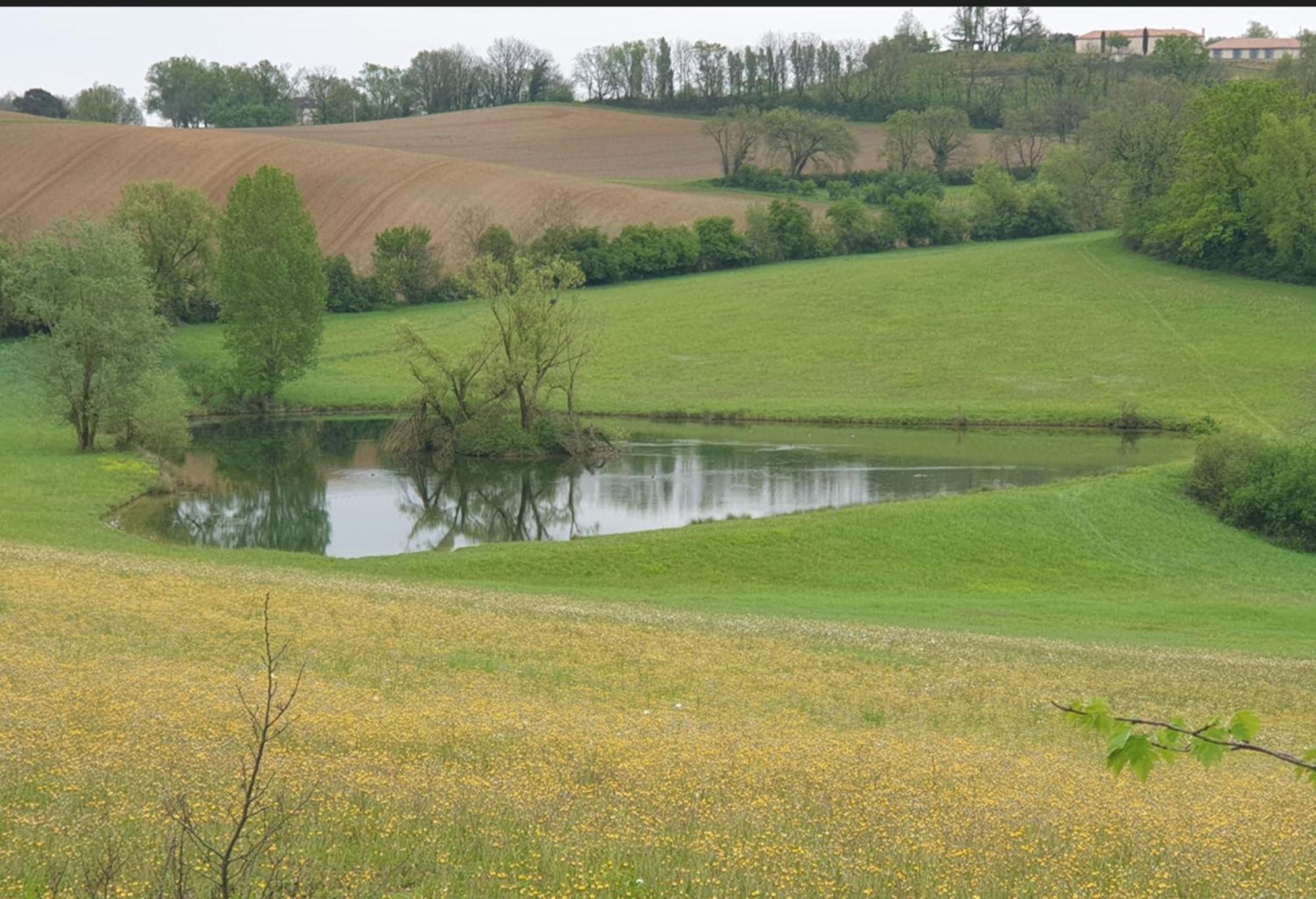 Seuls En Pleine Nature - Gite La Cote Blanche Puygaillard-de-Quercy 外观 照片